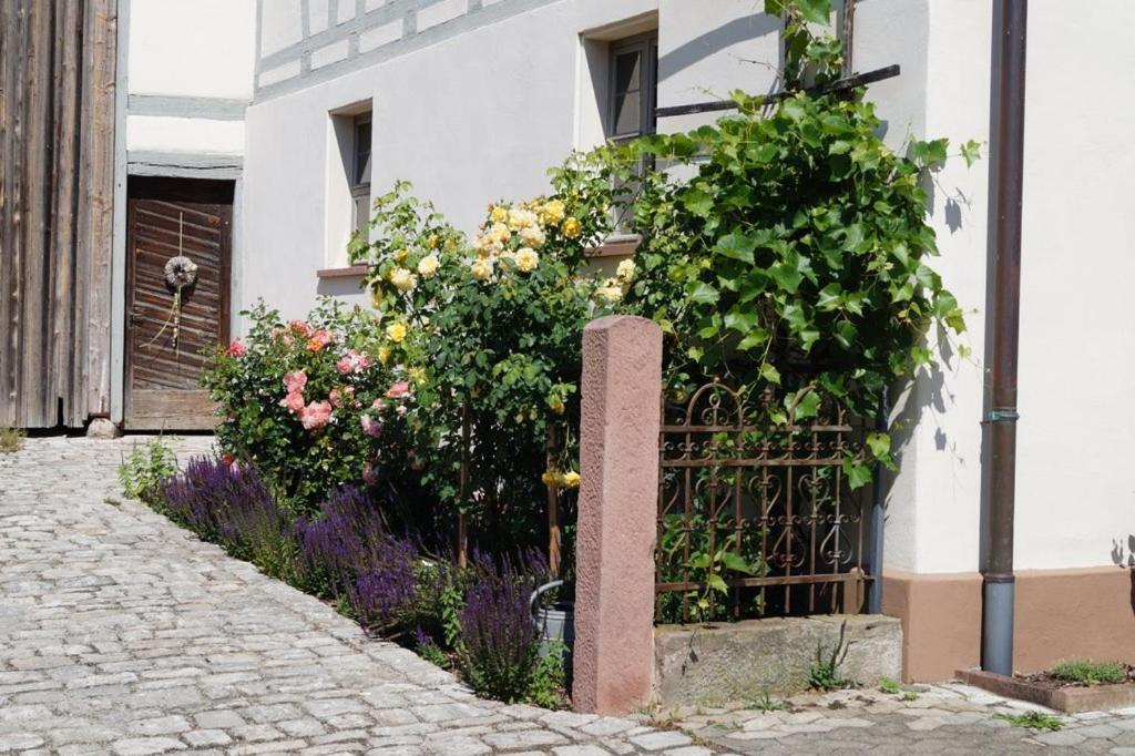 Ferienhaus Ickelhaus 1 บัดวินด์สไฮม์ ภายนอก รูปภาพ